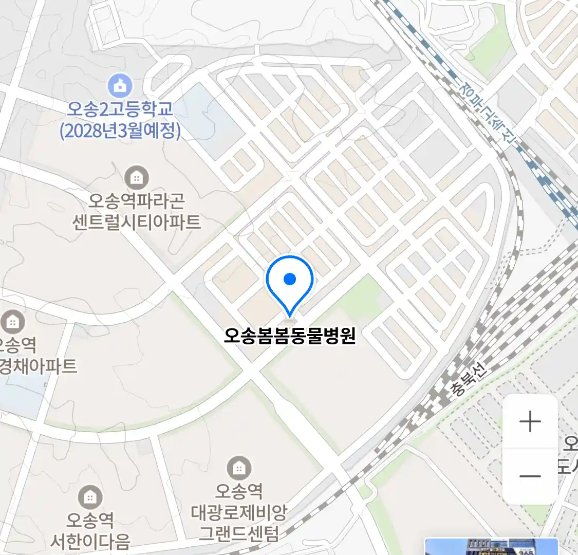 오송봄봄동물병원 위치