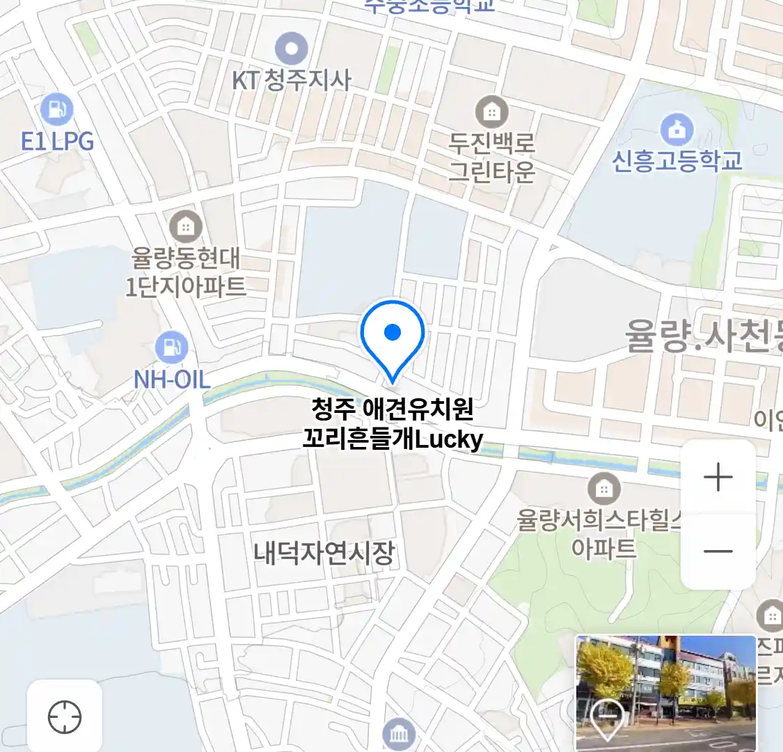 청주 애견유치원 꼬리흔들개Lucky 위치