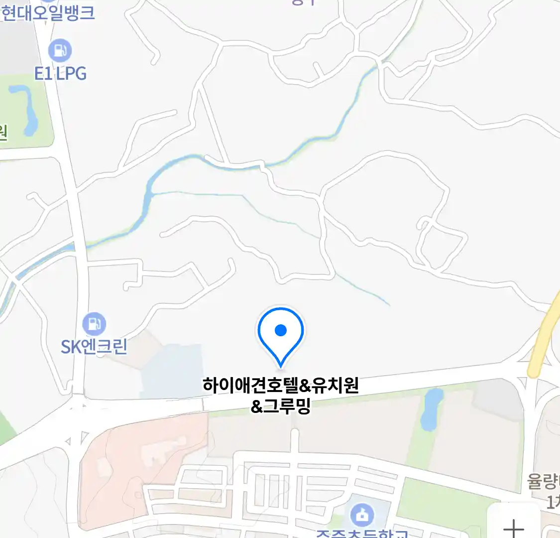 하이애견호텔&유치원&그루밍 위치