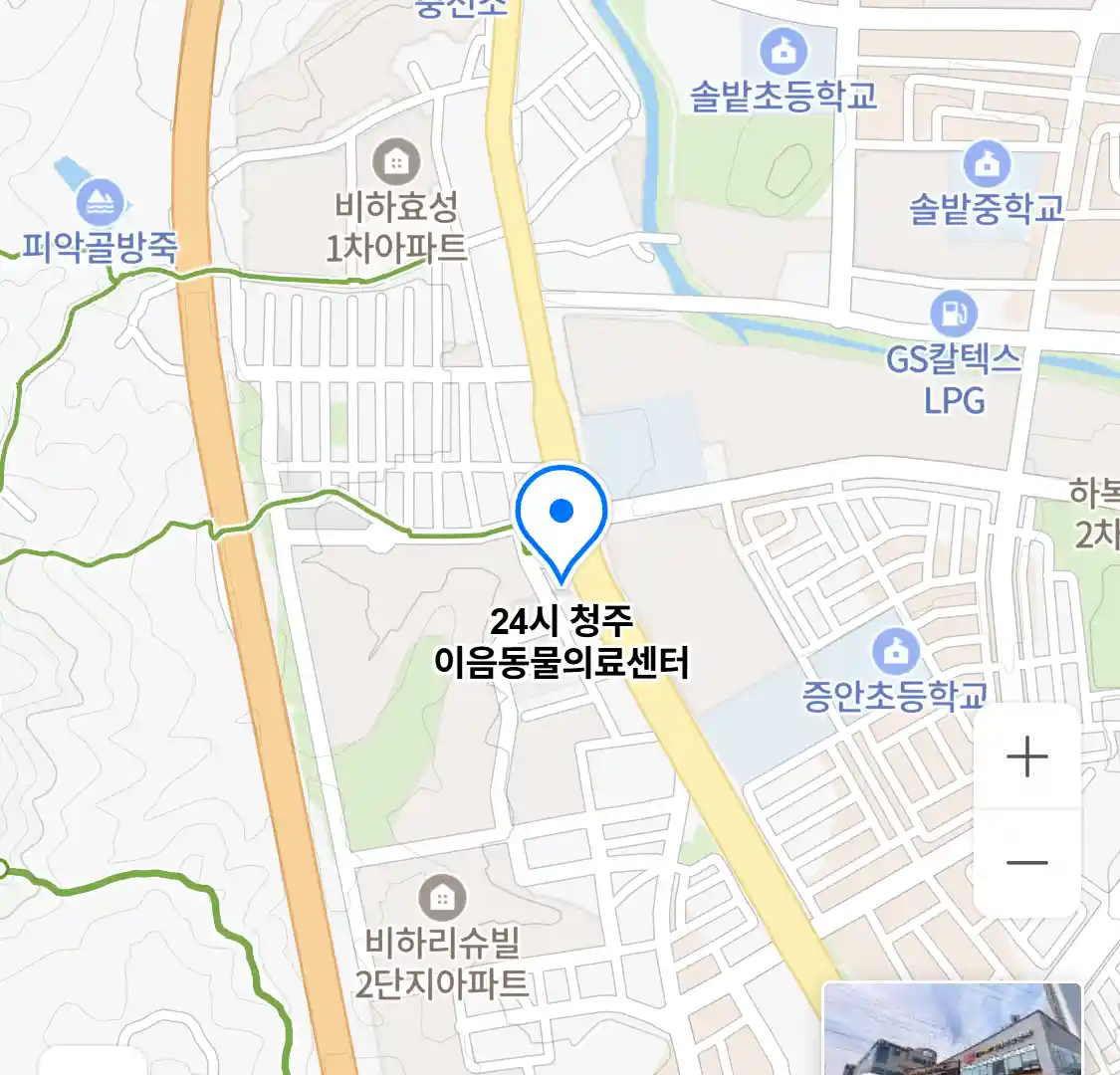 24시 청주 이음동물의료센터 위치