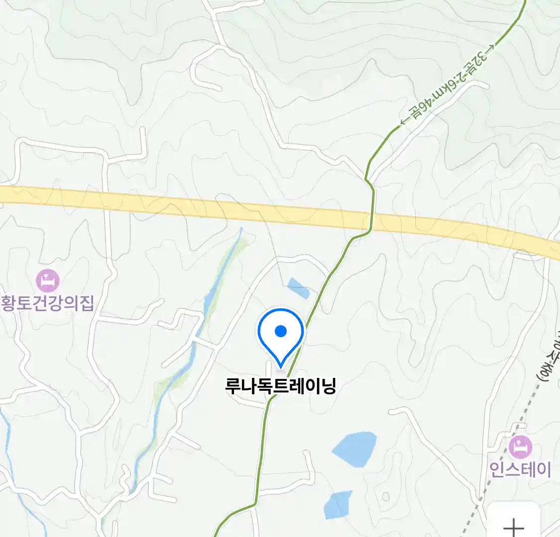 루나독트레이닝 위치