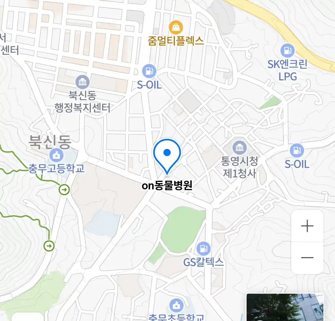 on동물병원 위치