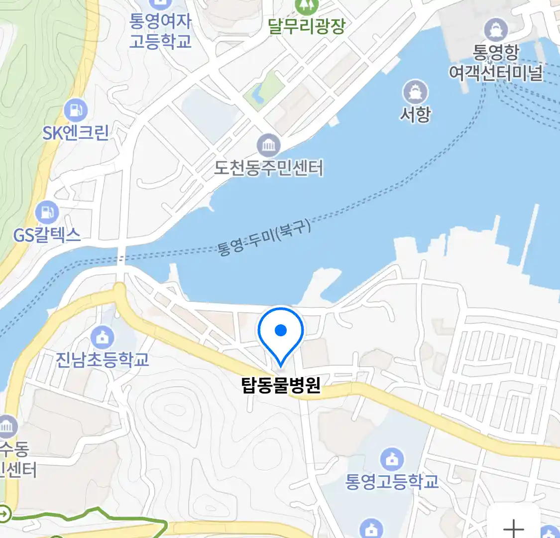 탑동물병원 위치