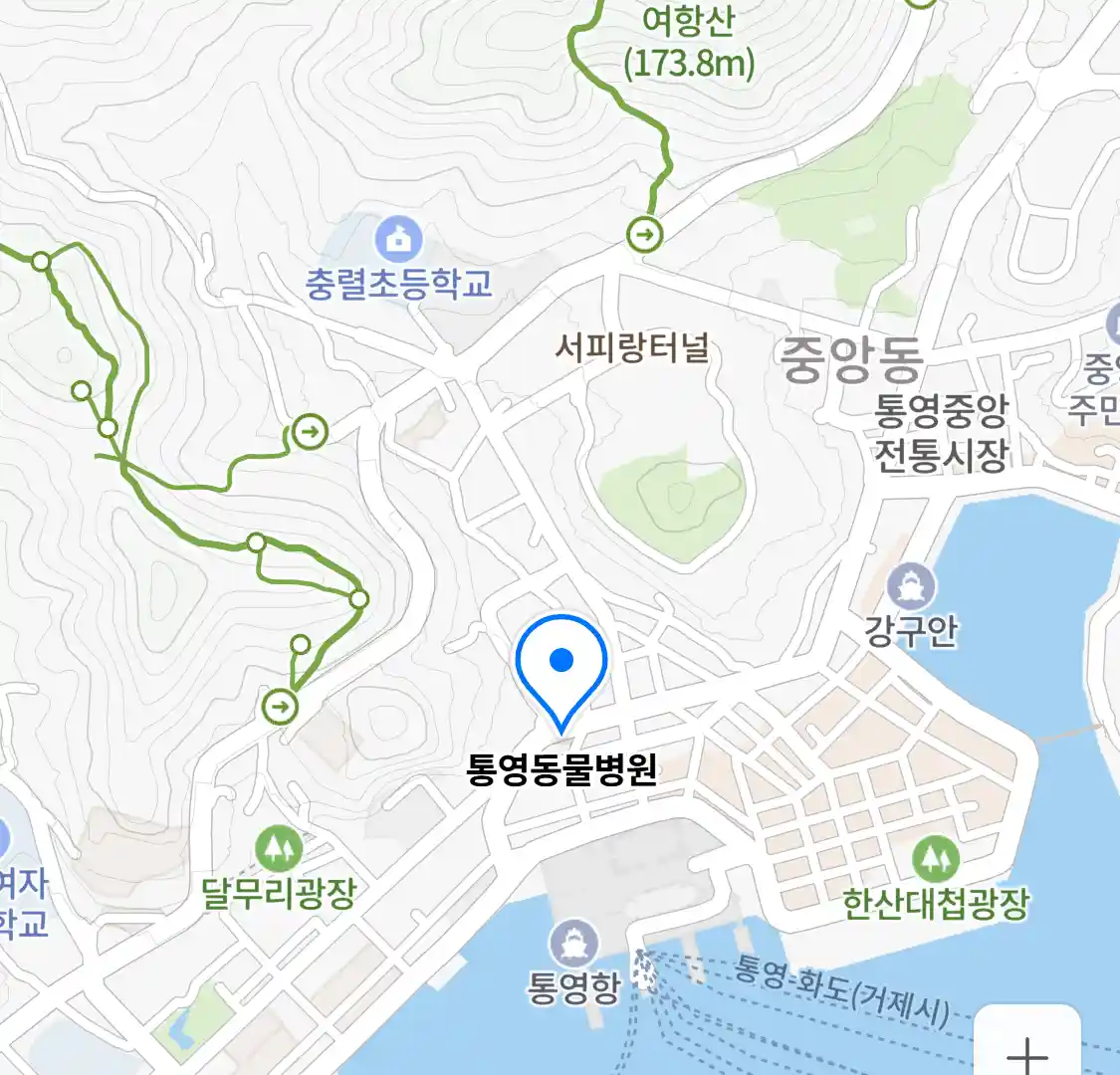 통영동물병원 위치