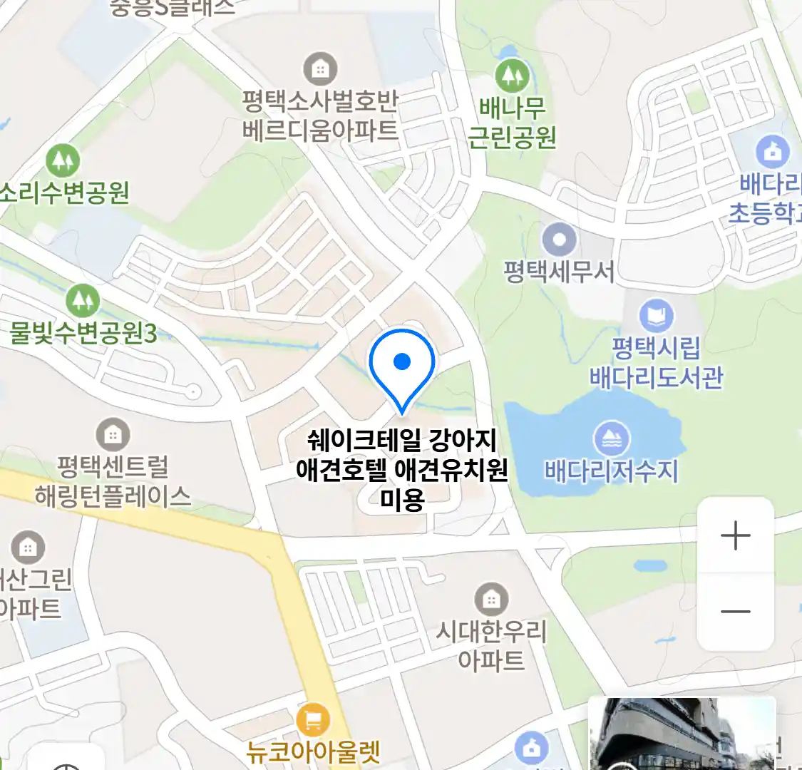 쉐이크테일 위치
