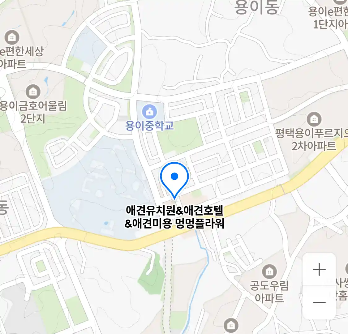 멍멍플라워 위치