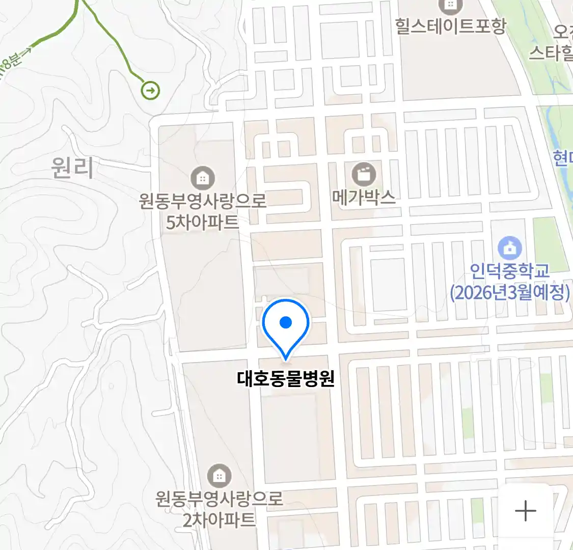 대호동물병원 위치