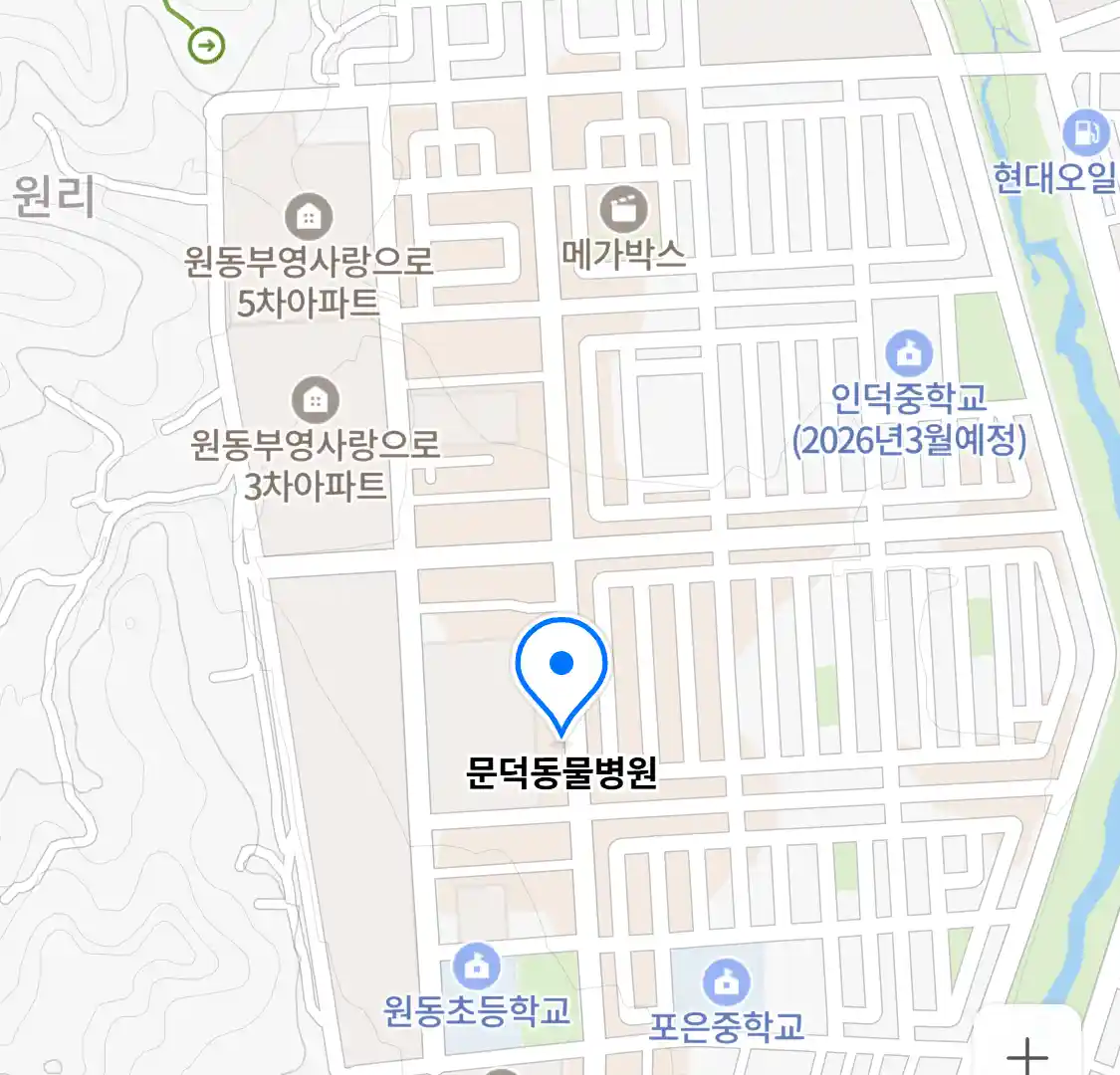 문덕동물병원 위치