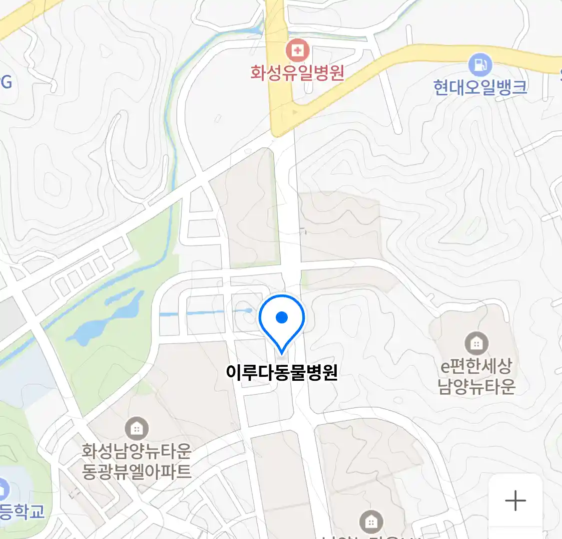 이루다동물병원 위치