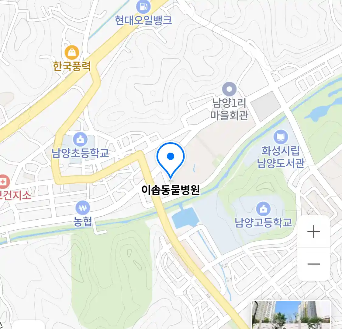 이솝동물병원 위치