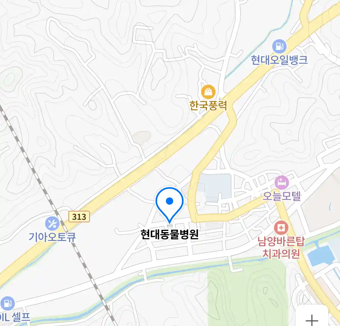 현대동물병원 위치